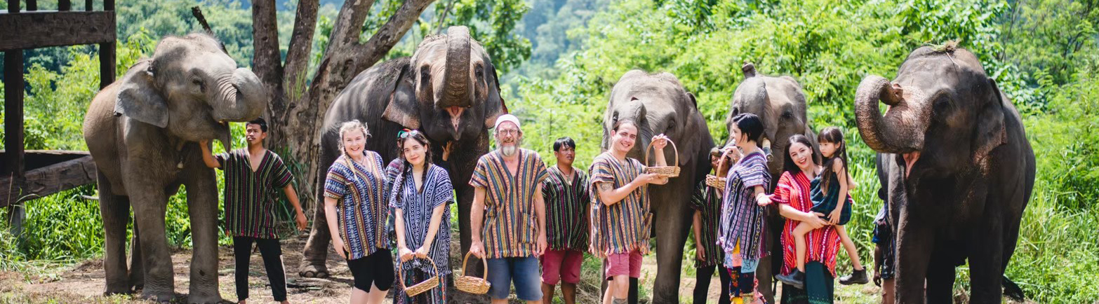 Top 9 Ethical Elephant Sanctuaries in Chiang Mai Thailand 2024 | Ticket2Attraction