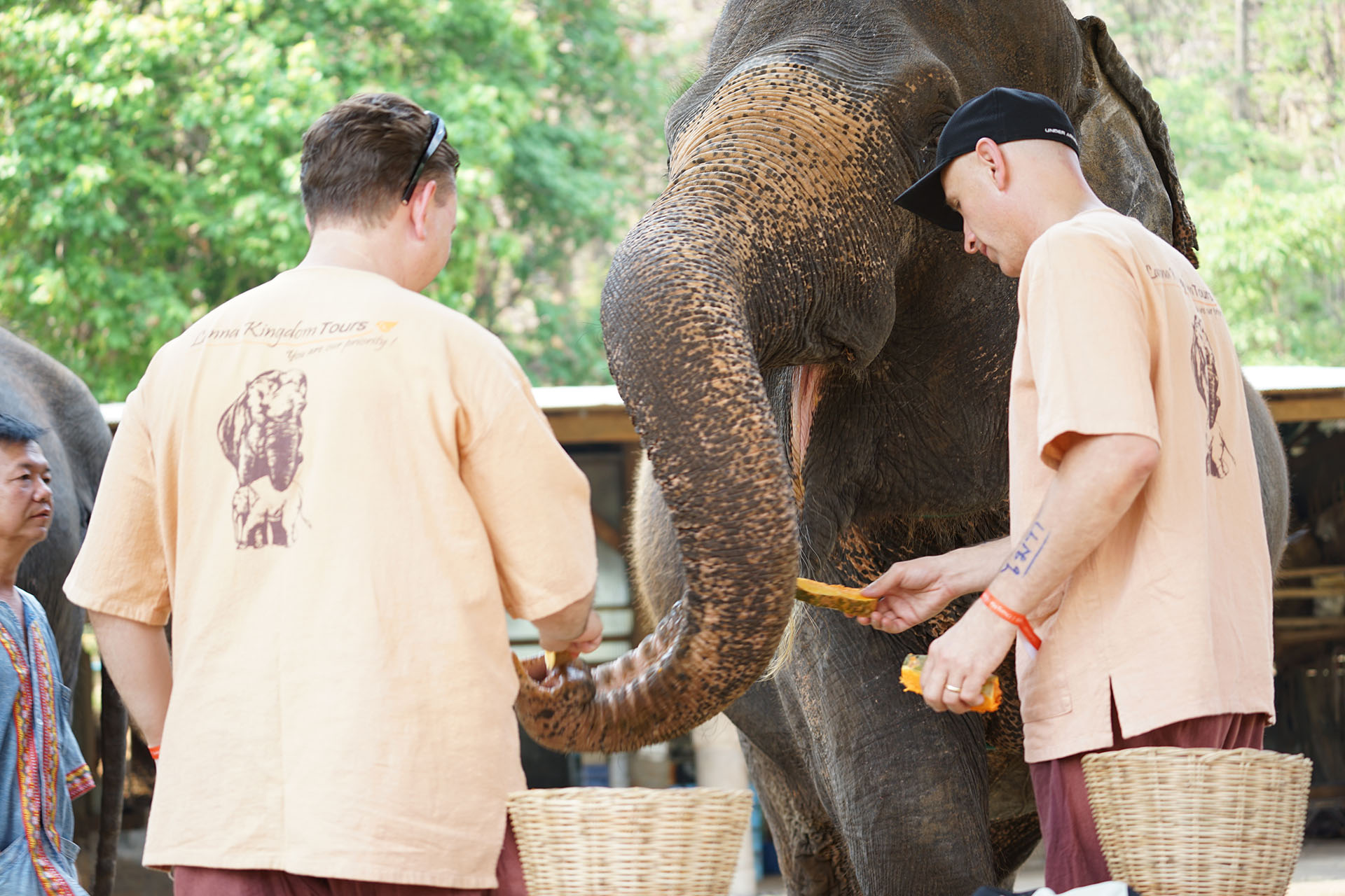 Lanna Kingdom Elephnat Sanctuary Chiang Mai Elephant Care (5).jpg