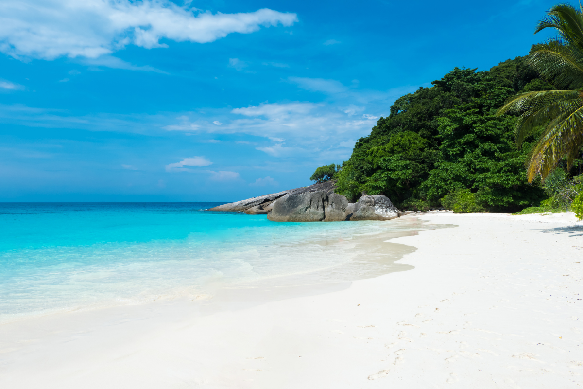 Similan Island : One Day Trip