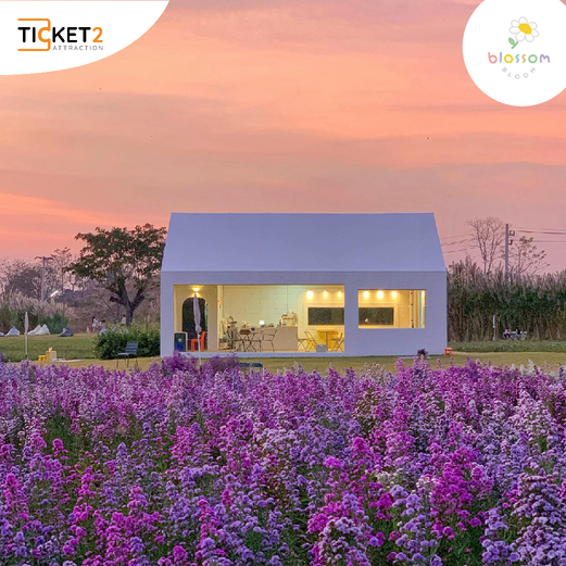 blossom bloom cafe khao yai