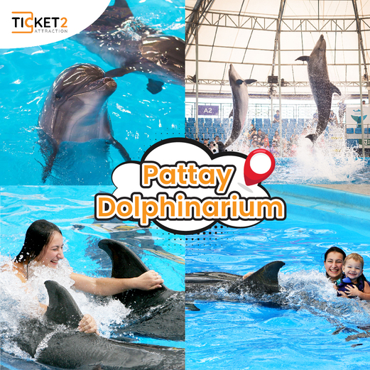 pattaya dolphinarium.jpg