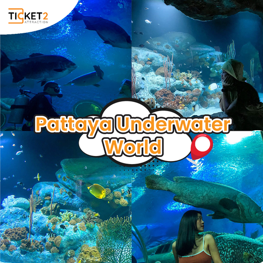 pattaya underwater world.jpg