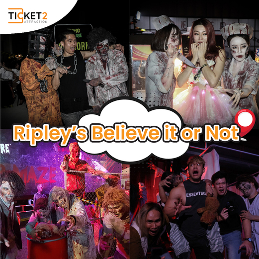 ripley s believe it or not pattaya attractions