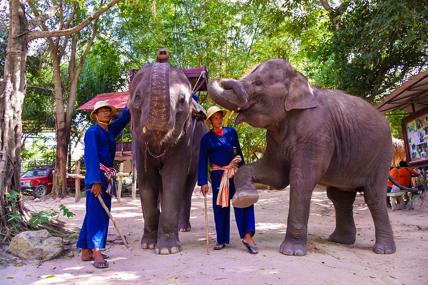 Discount ticketPattaya Elephant Village ticket2attraction