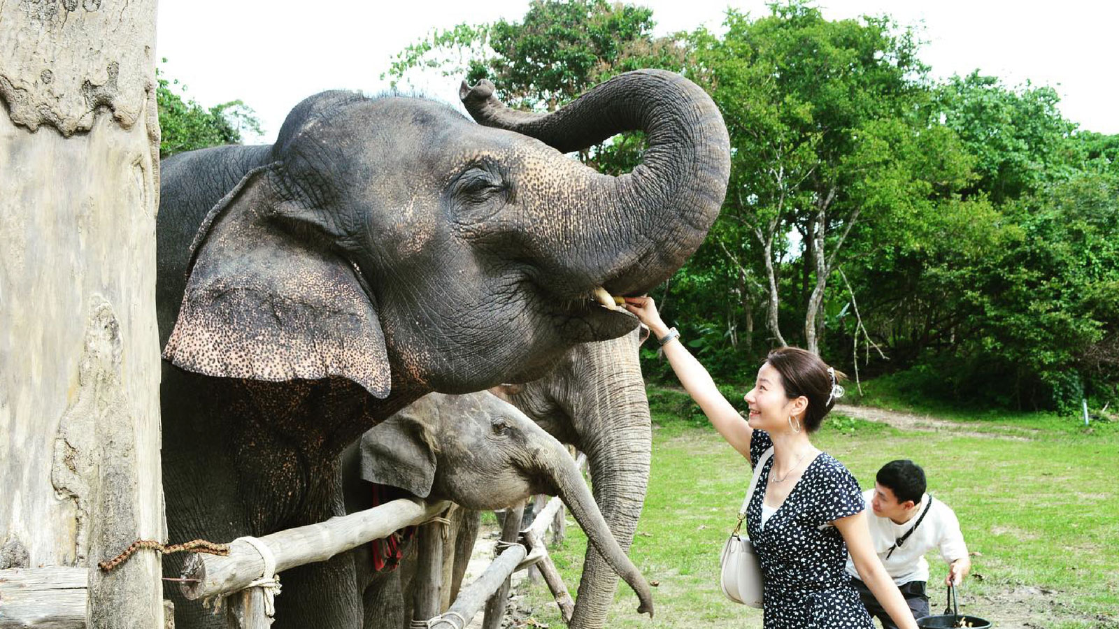 Tonsai-Elephant-Care-Camp-Phuket-413.jpg