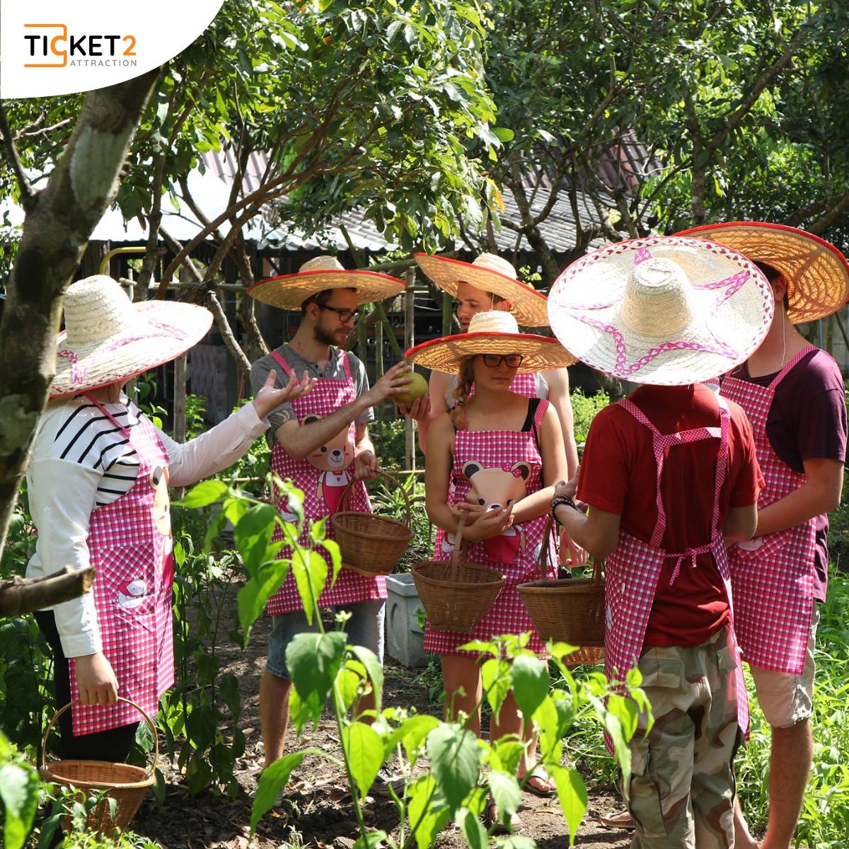 smile organic farm.jpg