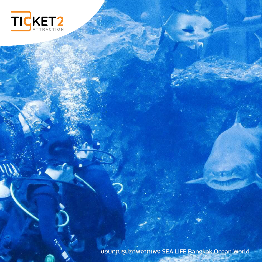 sea life bangkok