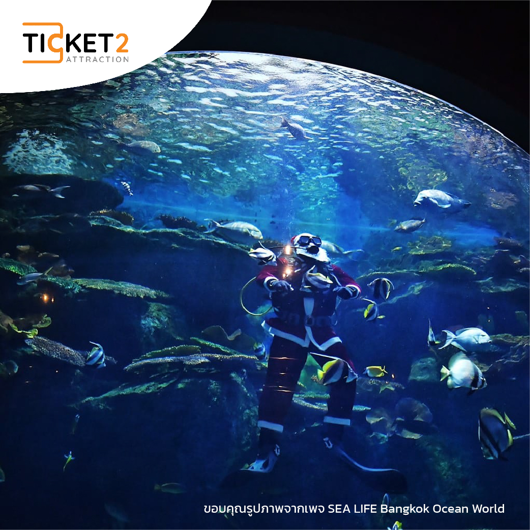 sea life bangkok.jpg