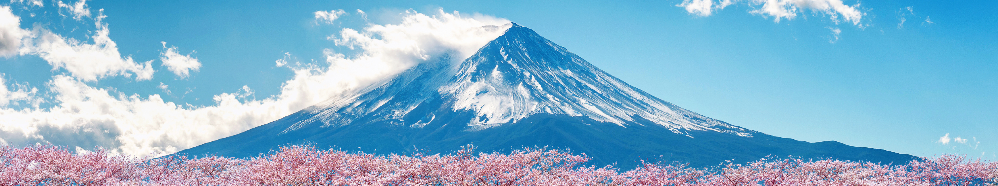 Tokyo Fuji Japan Tour Comparison and 10 Best Spots to See Mt. Fuji