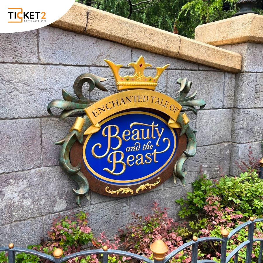 _R_eeimhm6_