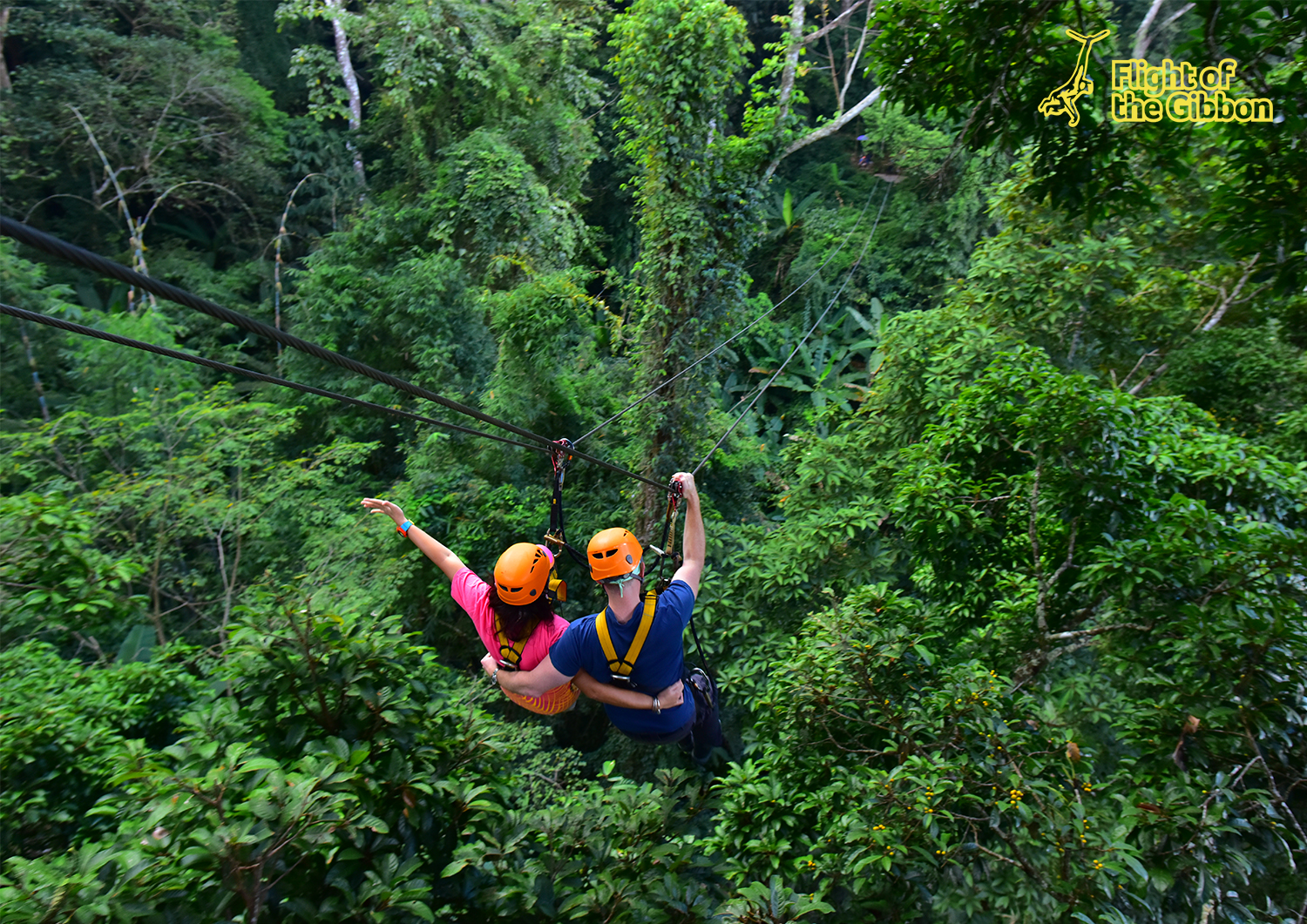 MKP_Honeymoon zipline 02.jpg